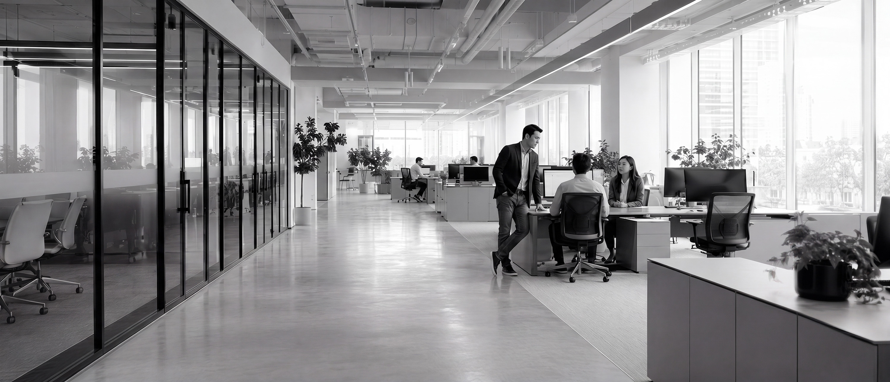 Company Overview