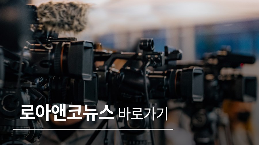 로아앤코뉴스